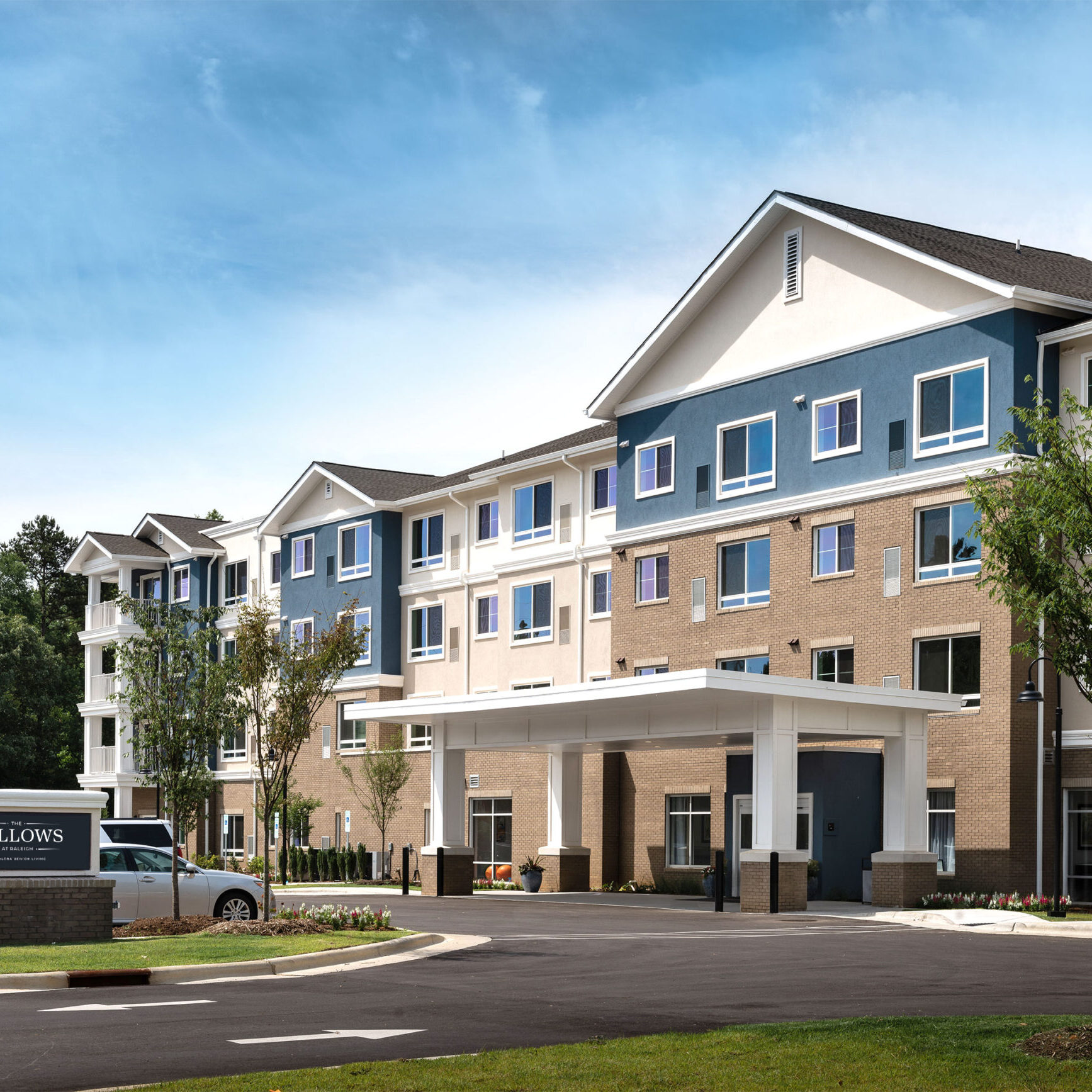 v2_Treeo-0815-Edit_bluesky-1-scaled